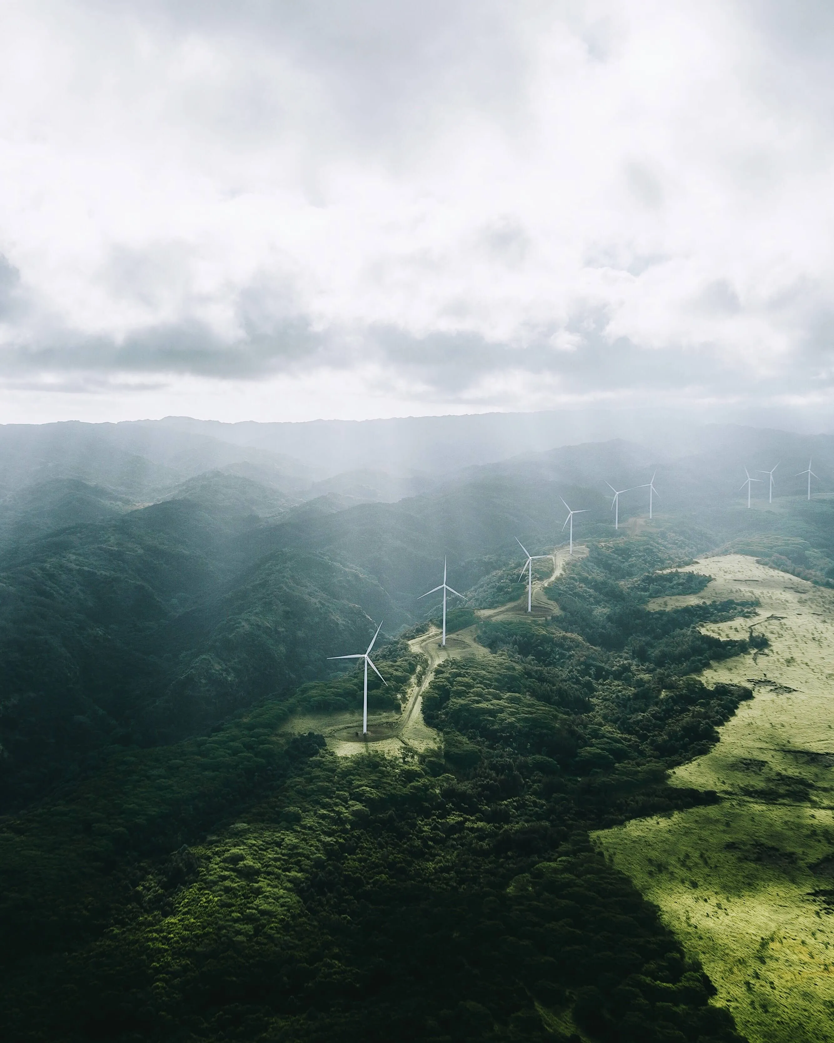 サステナビリティ