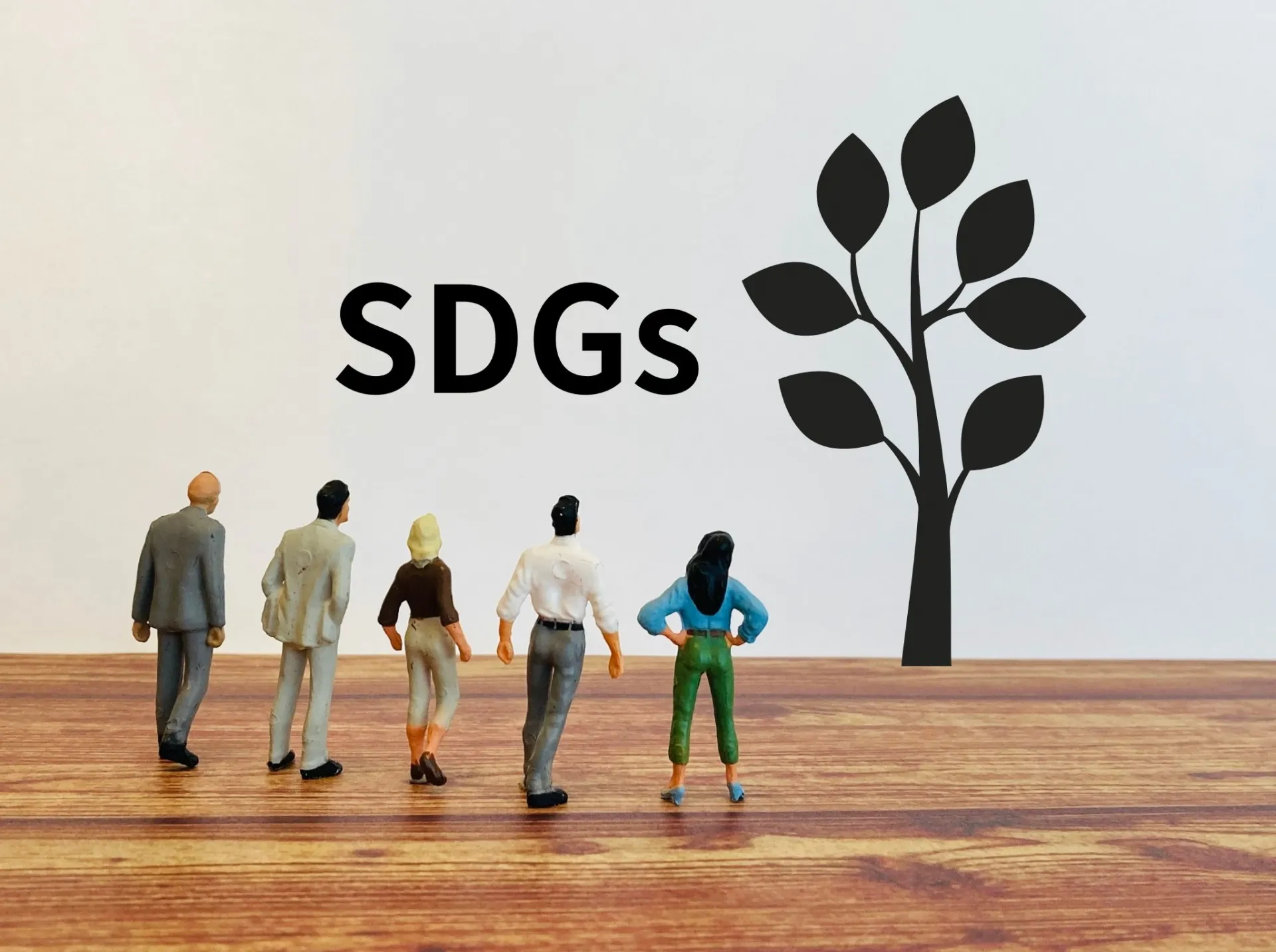 SDGs